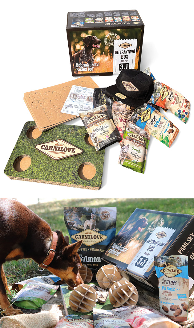 Interaktivní Box pro psy – 3v1